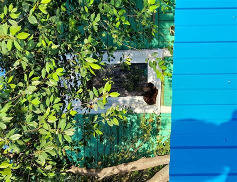 Polygon kles&aacute; o 8,69 % a přeprodan&eacute; podm&iacute;nky omezuj&iacute; potenci&aacute;l odrazu pobl&iacute;ž podpory na 0,0803 $: t&yacute;denn&iacute; zpr&aacute;va